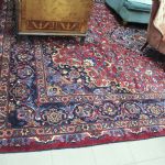 732 5609 ORIENTAL RUG